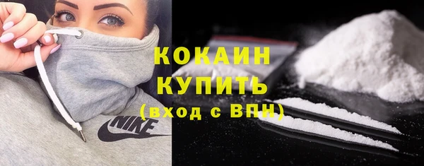 прущие крисы Инта
