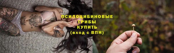 соль ск Зерноград