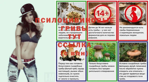 прущие крисы Инта