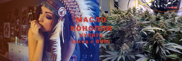 Альфа ПВП Инсар