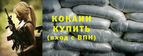 Альфа ПВП Инсар