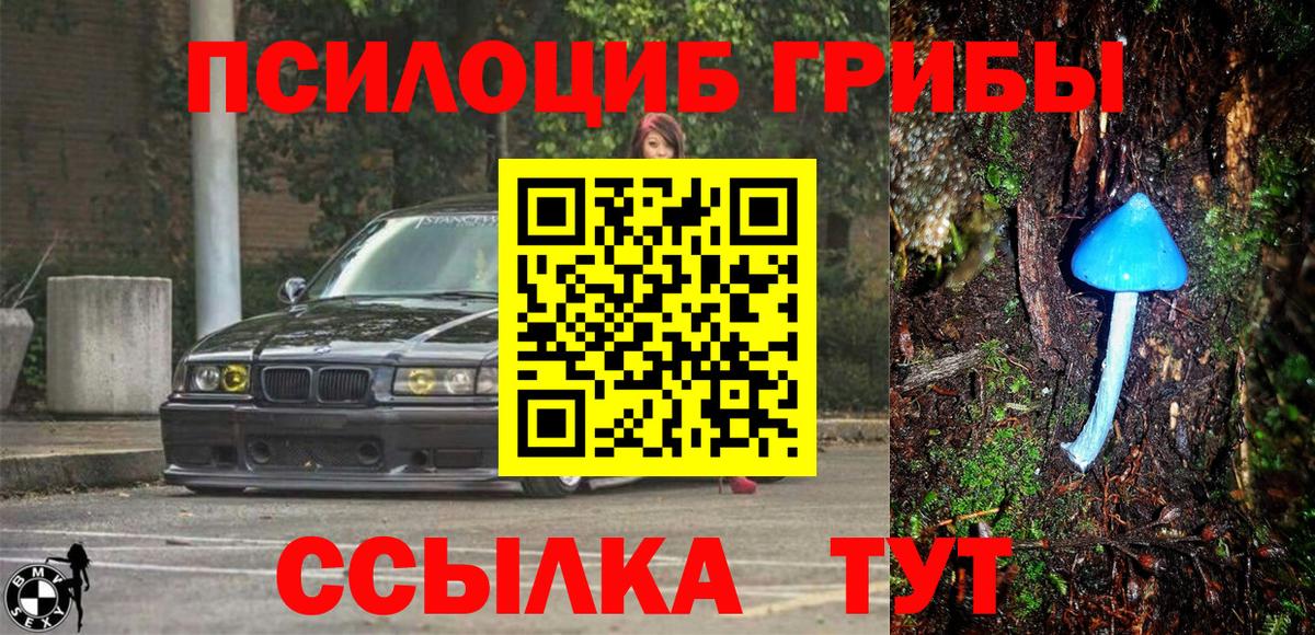 Карасук  Галлюциногенные грибы прущие грибы  Вход с VPN  Псилоцибиновые грибы Magic Shrooms 